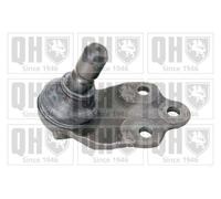 Quinton Hazell Ball Joint Front Lower - QSJ3759S