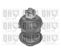 Quinton Hazell Ball Joint- Front Upper - QSJ1125S