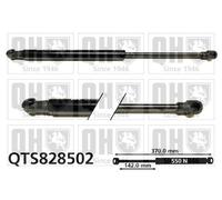 Bonnet Gas Strut fits AUDI S5 F5 3.0 2016 on CWGD Spring Lift Front QH Quality