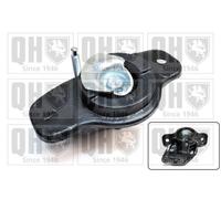 QUINTON HAZELL EM4752 Engine mount