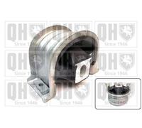 QUINTON HAZELL EM4771 Engine mount