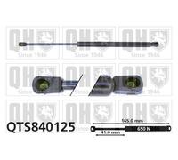 QUINTON HAZELL QTS840125 Tailgate strut