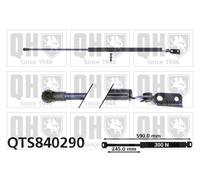 QUINTON HAZELL QTS840290 Tailgate strut