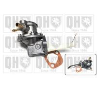 QUINTON HAZELL QFP256 Fuel pump
