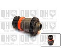 Quinton Hazell EMS8516 Axle Beam Mounting