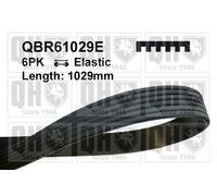 Quinton Hazell QBR61029E Drive Belt