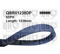 QUINTON HAZELL QBR61238DP Serpentine belt