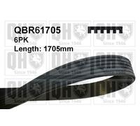 Quinton Hazell QBR61705 Drive Belt