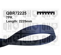 QUINTON HAZELL QBR72225 Serpentine belt