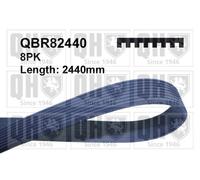 8 Rib Multi V Drive Belt QBR82440 Quinton Hazell 99979692 119976492 A0099979692