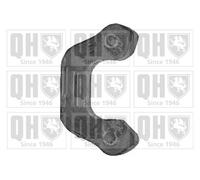 Quinton Hazell Drop Link Rear - QLS3366S