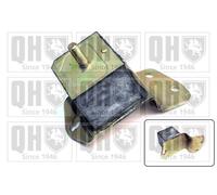 QUINTON HAZELL EM2041 Engine mount