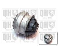Engine Mount EM2156 Quinton Hazell Mounting 1242401617 1242401717 2012403817 New