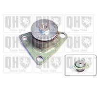 Quinton Hazell EM2428 Subframe Mounting