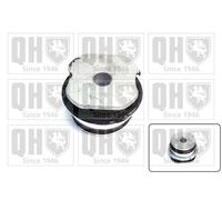 Quinton Hazell EM3083 Control Trailing Arm Mounting Front Rear Fits Fiat Punto