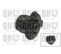 QUINTON HAZELL EM4080 Axle bush