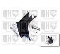 QUINTON HAZELL EM4396 Engine mount