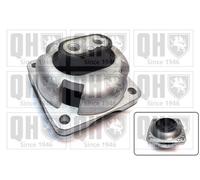 QUINTON HAZELL EM4769 Engine mount