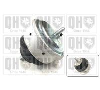 QUINTON HAZELL EM4780 Engine mount