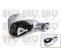 QUINTON HAZELL EM4816 Engine mount