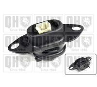Engine Mount Front Left EM4850 Quinton Hazell Mounting 112202843R 4532400017 New