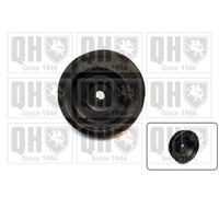 Top Strut Mounting Front EMR6024 Quinton Hazell 1793880 6799585 93BB3K155AC New