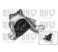 QUINTON HAZELL EM4843 Engine mount
