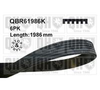 QUINTON HAZELL QBR61986K Serpentine belt