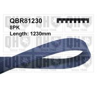 Quinton Hazell QBR81230 V-Ribbed Belt Engine Belt Drive Replace Fits Mazda MPV