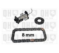 Quinton Hazell QCK135 Timing Chain Kit