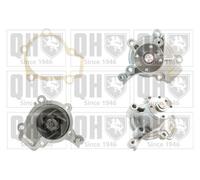 QUINTON HAZELL QCP3336 Water pump