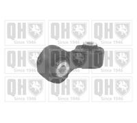 Quinton Hazell QLS3631S Stabiliser Bar Drop Link Coupling Rod Rear Fits Audi