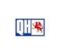 QUINTON HAZELL QSJ3524S Ball Joint
