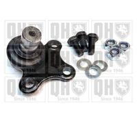 Quinton Hazell QSJ3884S Ball Joint Front Replacement Fits Opel Peugeot Vauxhall