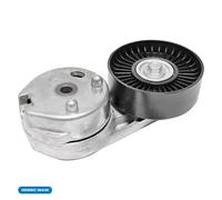 QUINTON HAZELL QTA1190 Tensioner Lever, v-ribbed belt