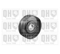 Quinton Hazell QTA1207 V-Ribbed Belt Deflection Guide Pulley Fits Skoda Volvo VW