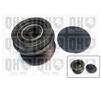 Overrunning Alternator Pulley QTR103 Quinton Hazell Clutch 31251071 8641982 New