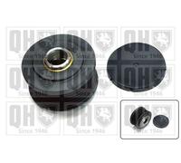 Quinton Hazell QTR110 Alternator Freewheel Clutch Replacement Fits Fiat