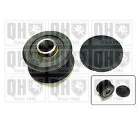 Overrunning Alternator Pulley QTR115 Quinton Hazell Clutch 77363468 234794 New