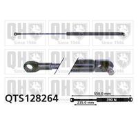 Quinton Hazell QTS128264 Boot Cargo Trunk Area Gas Spring Fits Fiat Panda