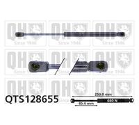 QUINTON HAZELL QTS128655 Bonnet strut