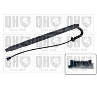 Quinton Hazell QTS728011 Tailgate Powerlift