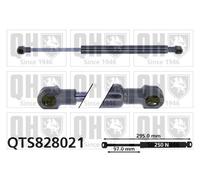 Boot Gas Strut QTS828021 Quinton Hazell Spring Lift Tailgate Rear 51247016186