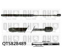 QUINTON HAZELL QTS828489 Bonnet strut