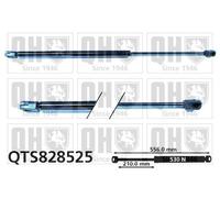 QUINTON HAZELL QTS828525 Tailgate strut