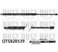 QUINTON HAZELL QTS828539 Tailgate strut
