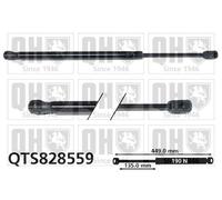 QUINTON HAZELL QTS828559 Bonnet strut
