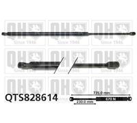 QUINTON HAZELL QTS828614 Tailgate strut