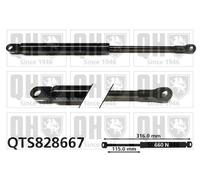 QUINTON HAZELL QTS828667 Gas Spring, convertible top