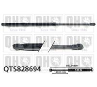 QUINTON HAZELL QTS828694 Tailgate strut